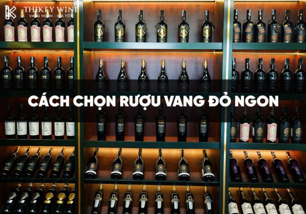 5 Cách chọn rượu vang đỏ ngon giúp bạn sành hơn THEKEY WINE