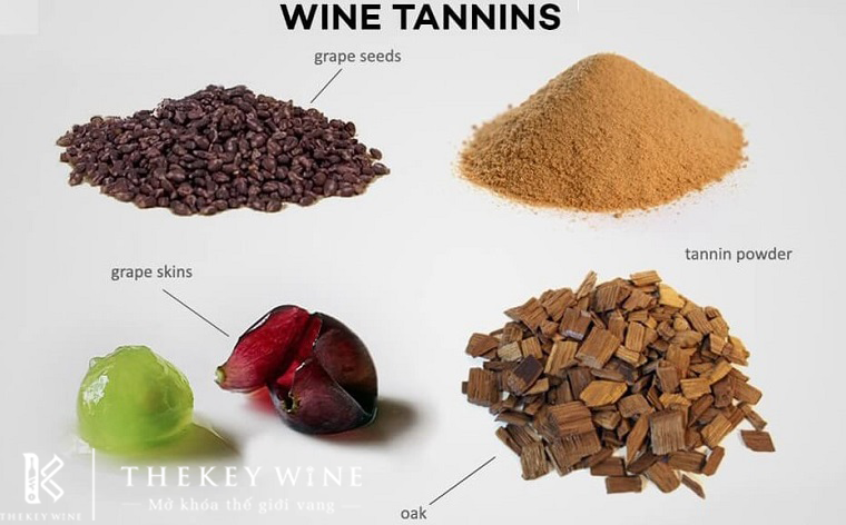 Tannin là gì? Ảnh hưởng của Tannin với hương vị rượu vang? 1
