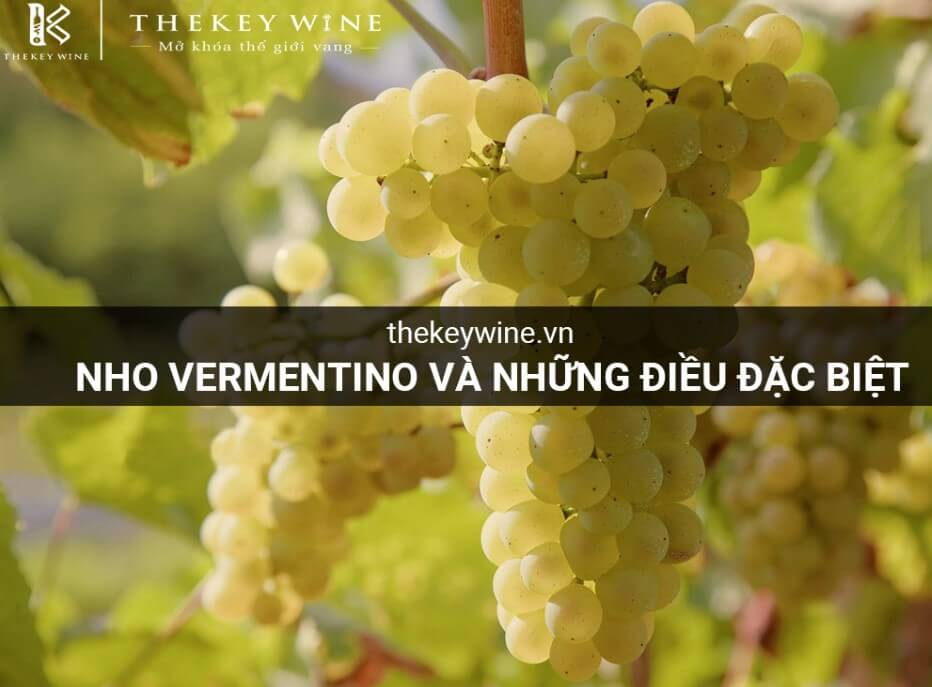 nho-Vermentino