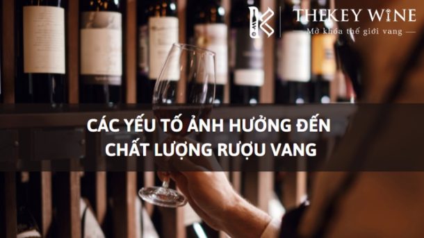 yeu-to-anh-huong-den-chat-luong-ruou-vang