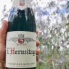 ruou-vang-do-lhermitage-domaine-jean-louis-chave-2