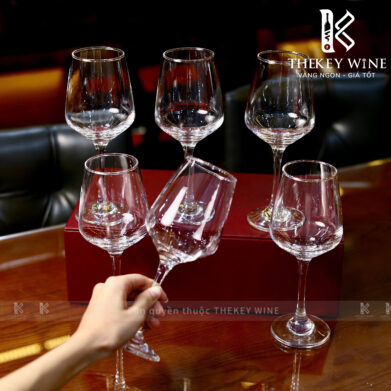 Bộ ly Gloreca có logo-03