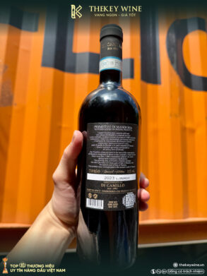 musa-di-rocca-antica-primitivo-di-manduria (7)