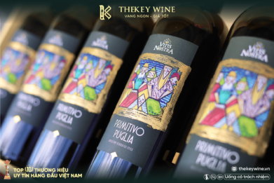 vitis-nostra-primitivo-puglia-vang-do