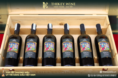 vang-y-vitis-nostra-primitivo-puglia