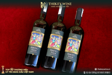 vitis-nostra-primitivo-puglia-ruou-vang